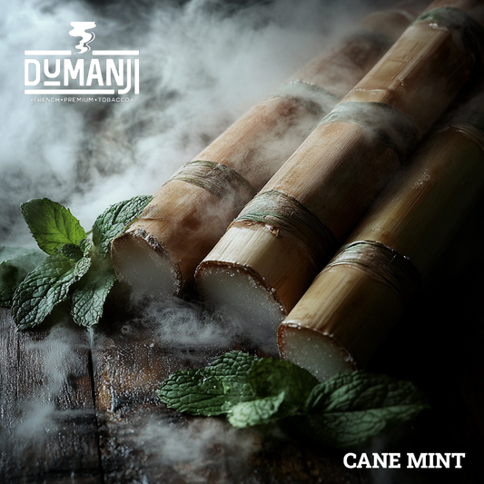 Dumanji Shisha Tobacco Cane Mint – A Bold and Refreshing Mint Experience