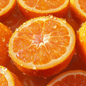 Tangiers Sevilla Orange Shisha Tobacco